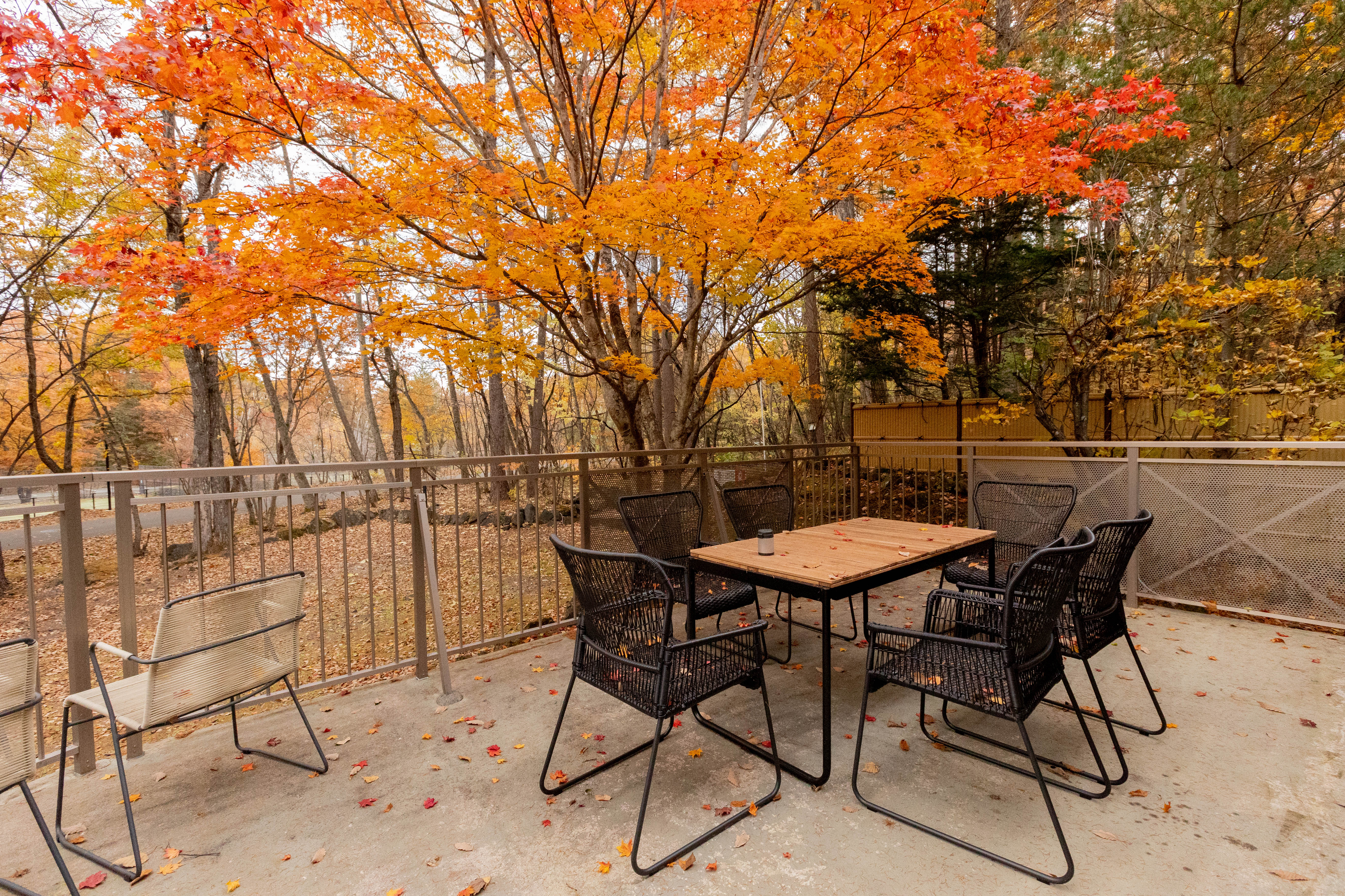 Lai Karuizawa - Scene 6